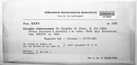 Image Associated With the Occurence